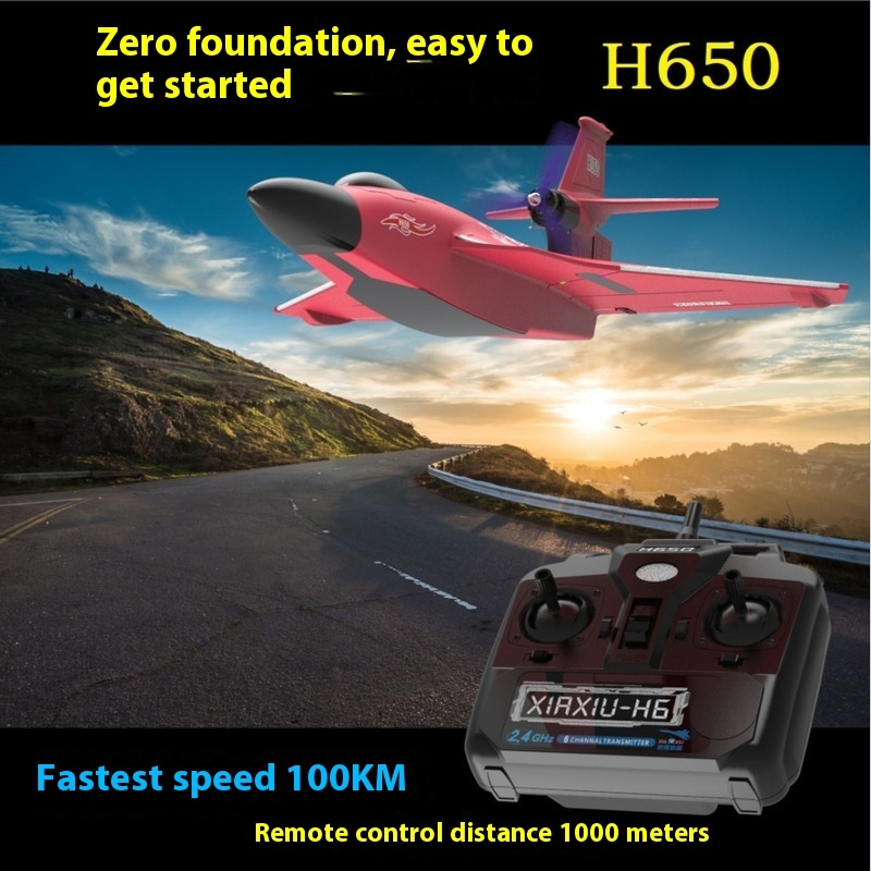 H650 grande avião rc asa fixa  - Rc Glider Foam Wing avaliação e preço